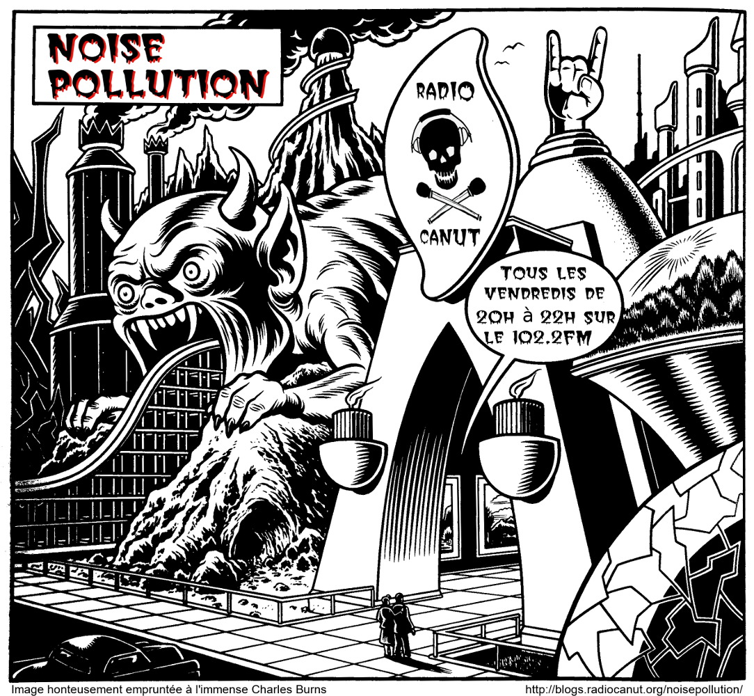 noise pollution